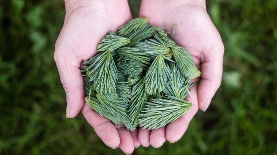 Ẩm thực đặc sắc với món ăn miền Bắc tại Quán Ăn Bác Hiền