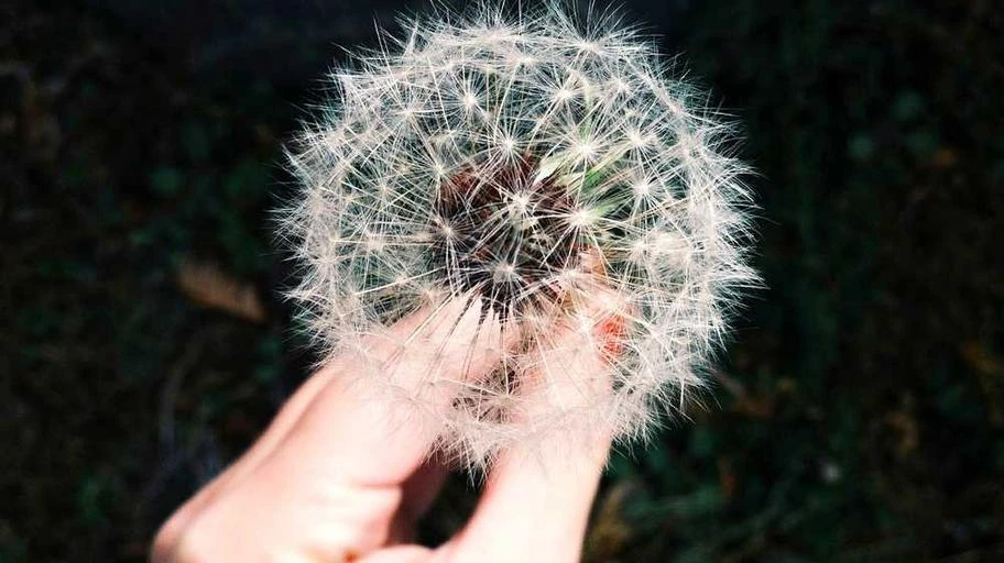 Nhà hàng món Nhật Bản ở Hà Nội