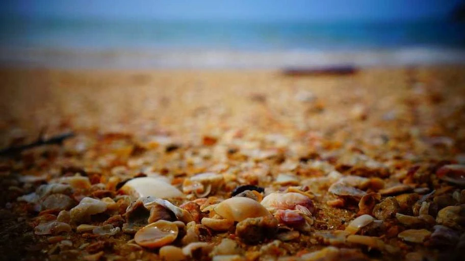 Xôi gà tại Quán Cô Lan ở Sài Gòn